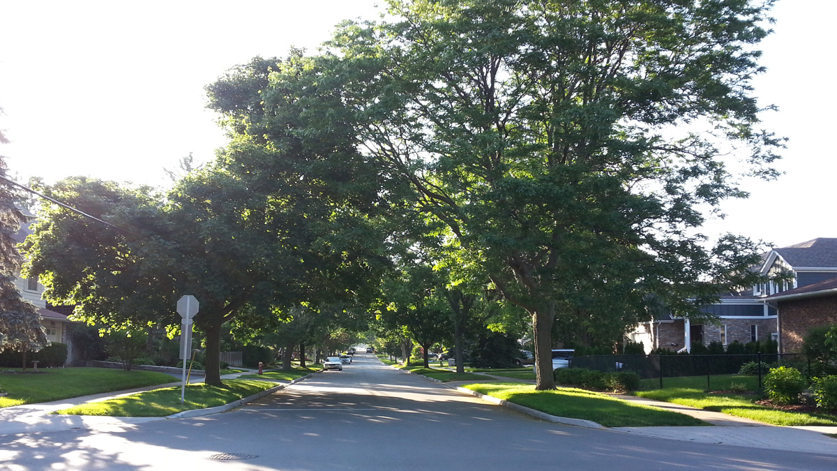 Burlington is Number 1 Midsize City in Canada in 2015 (Third Year in a Row!) Burlington Real